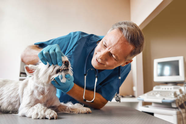Best Emergency Tooth Extraction in Massanutten, VA